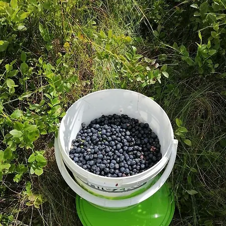 віадук Vorokhta