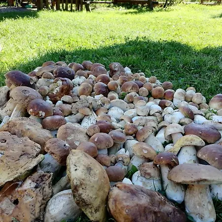 Séjour à la campagne віадук